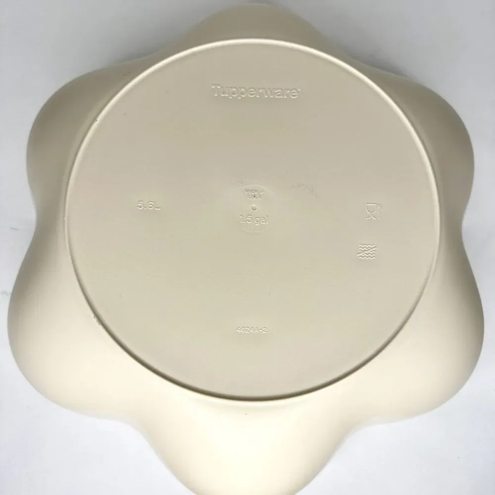 Vintage Tupperware Chip & Dip Bowl & Serving Tray Set 1.5‎ Gallon # 4624 A-2